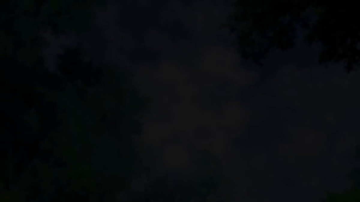 Twitter Image