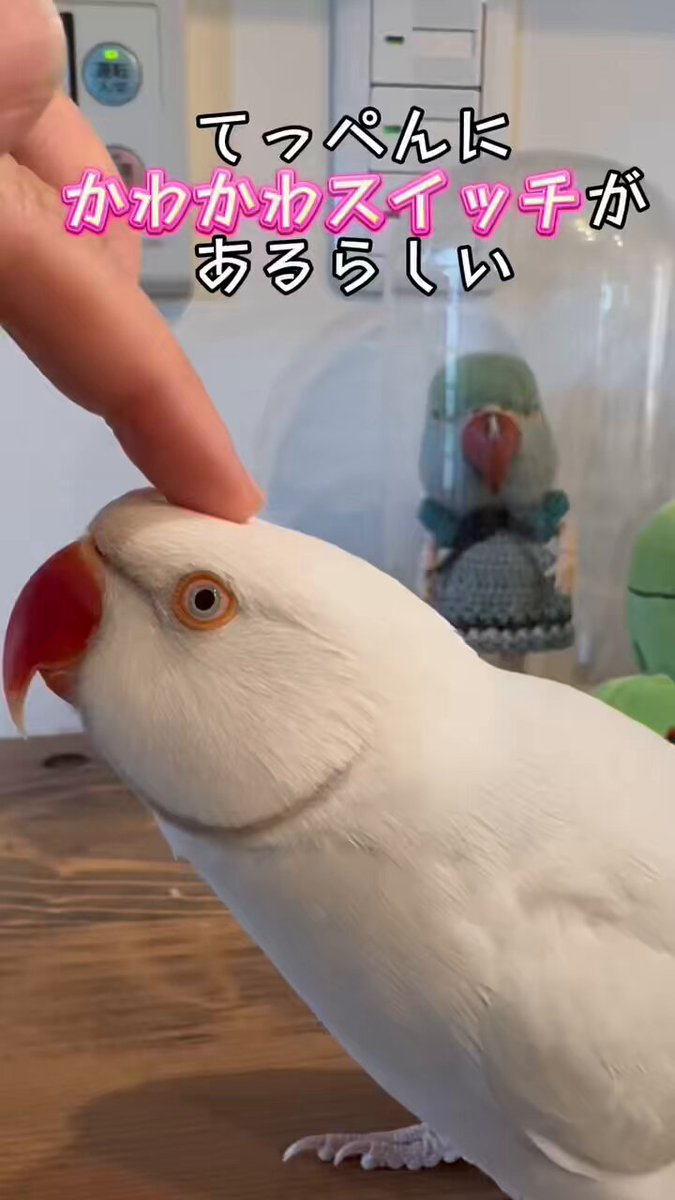 まるちゃん日記 on X: 