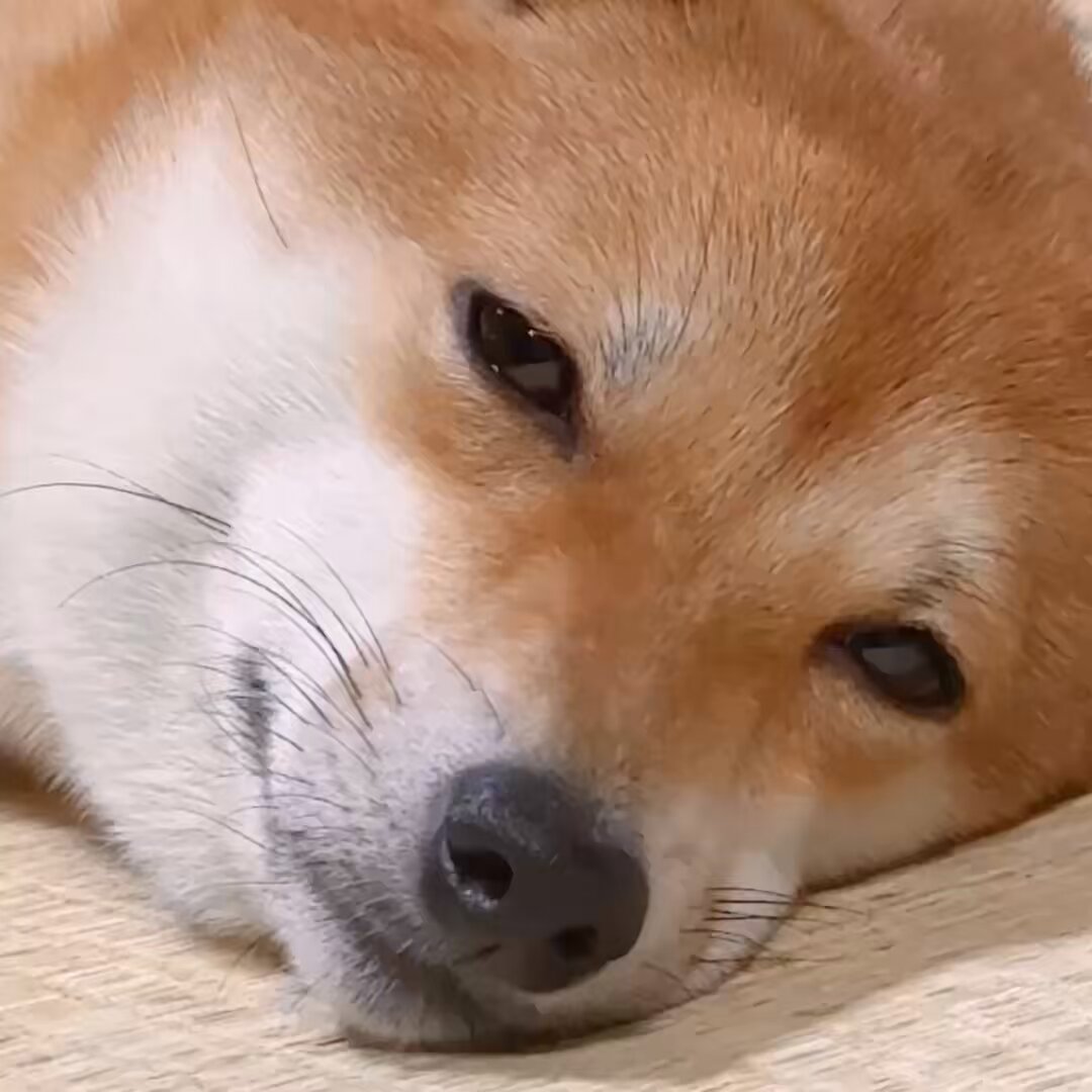 驚き顔 - Search / X