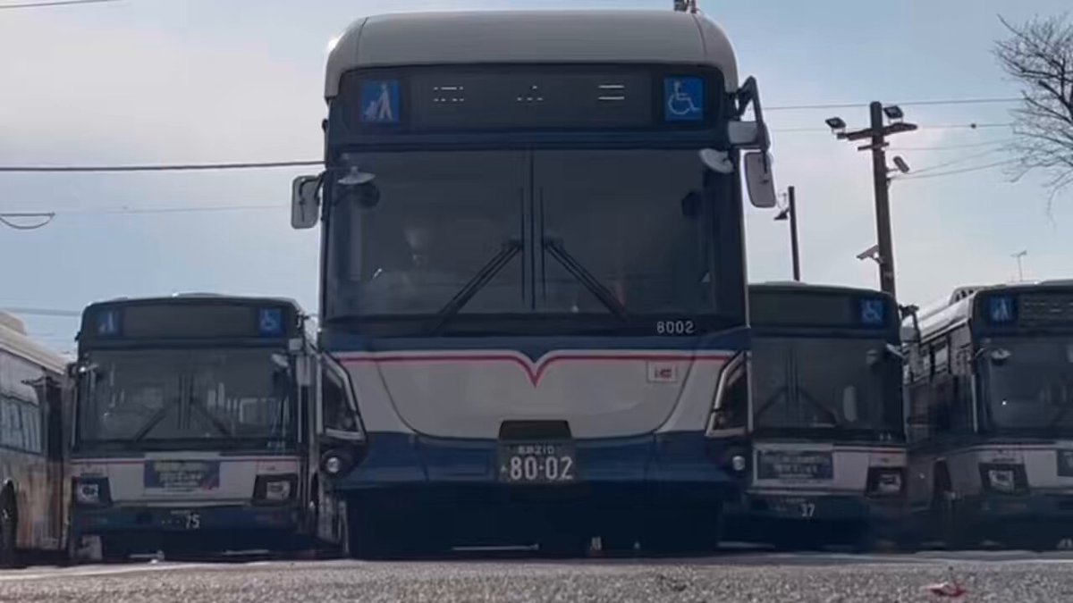 PWo53zq56uP3hQUJ.jpg