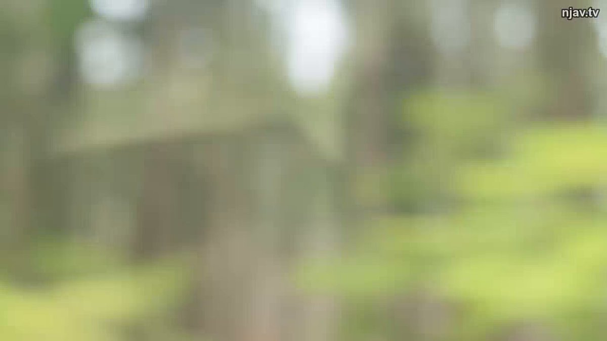 Twitter Image