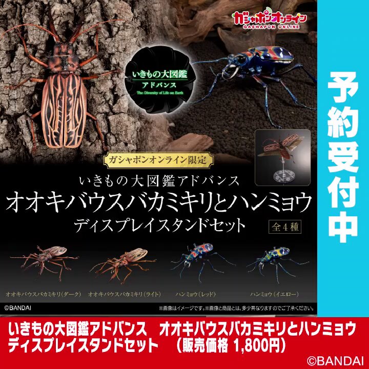いきもの大図鑑アドバンス オオカマキリとショウリョウバッタ