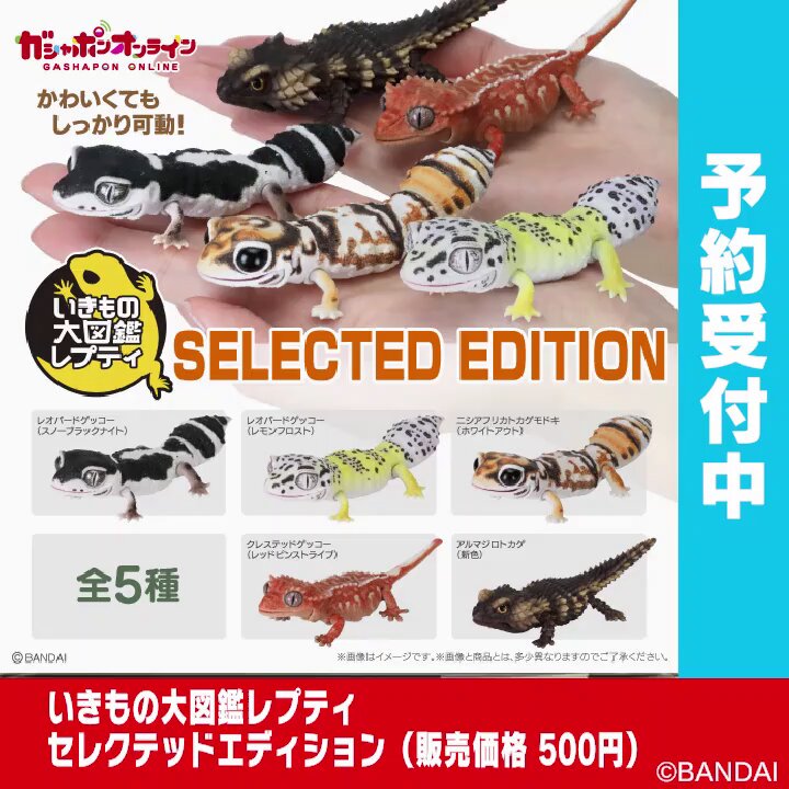 ガシャポン特撮系　7種（39体）セット Amazon.co.jp: ガシャポン HG仮面ライダーPART35 ～仮面ライダー