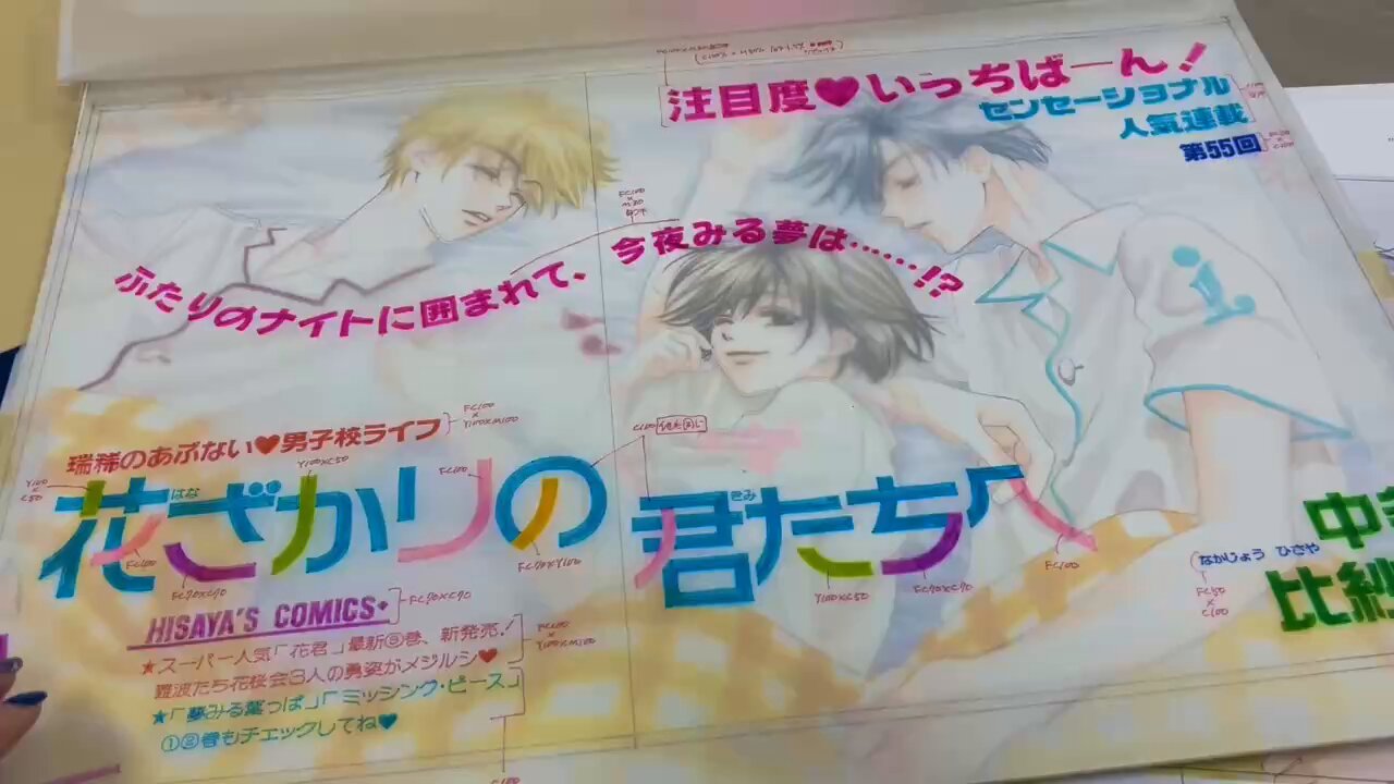 中条比紗也 画業30年の軌跡 花ざかりの君たちへ展