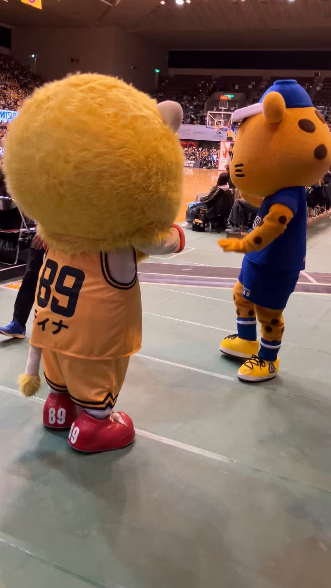 @kohsoku_cheetah's video Tweet @kohsoku_cheetah's video Tweet