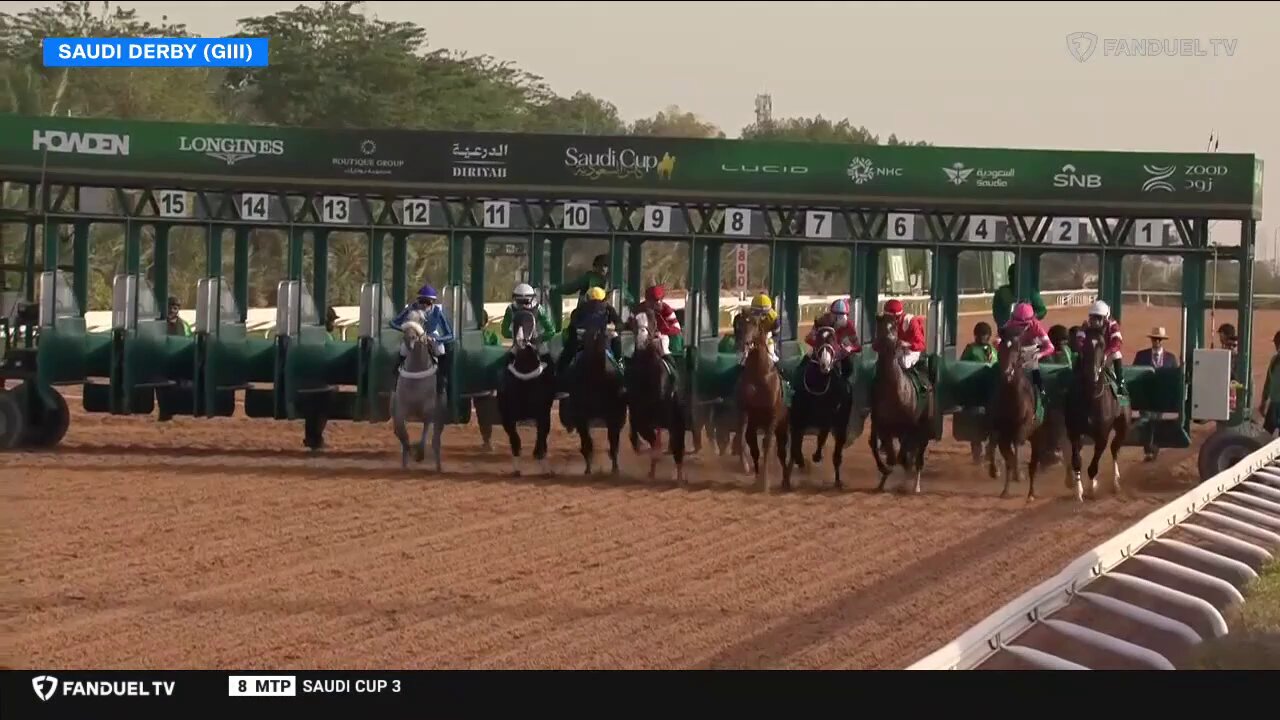 JRA 競馬 '91世界最強3歳馬アラジ号 写真（額入り）