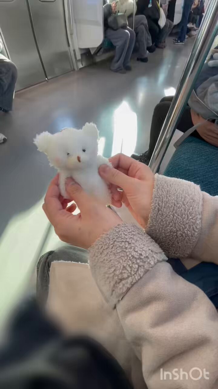 石井未来。いしーちゃん on X: 