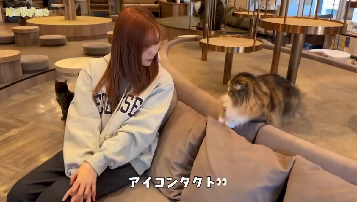 @mrs__ao_ringo's video Tweet @mrs__ao_ringo's video Tweet