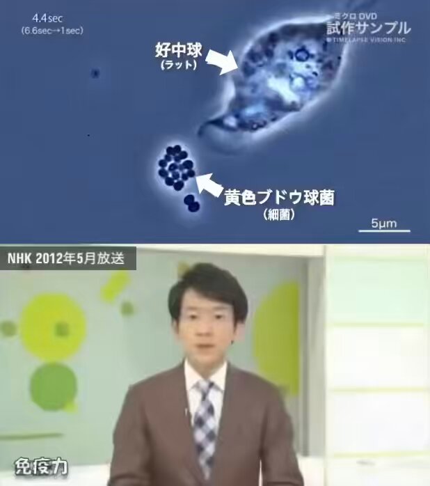 Twitter Image