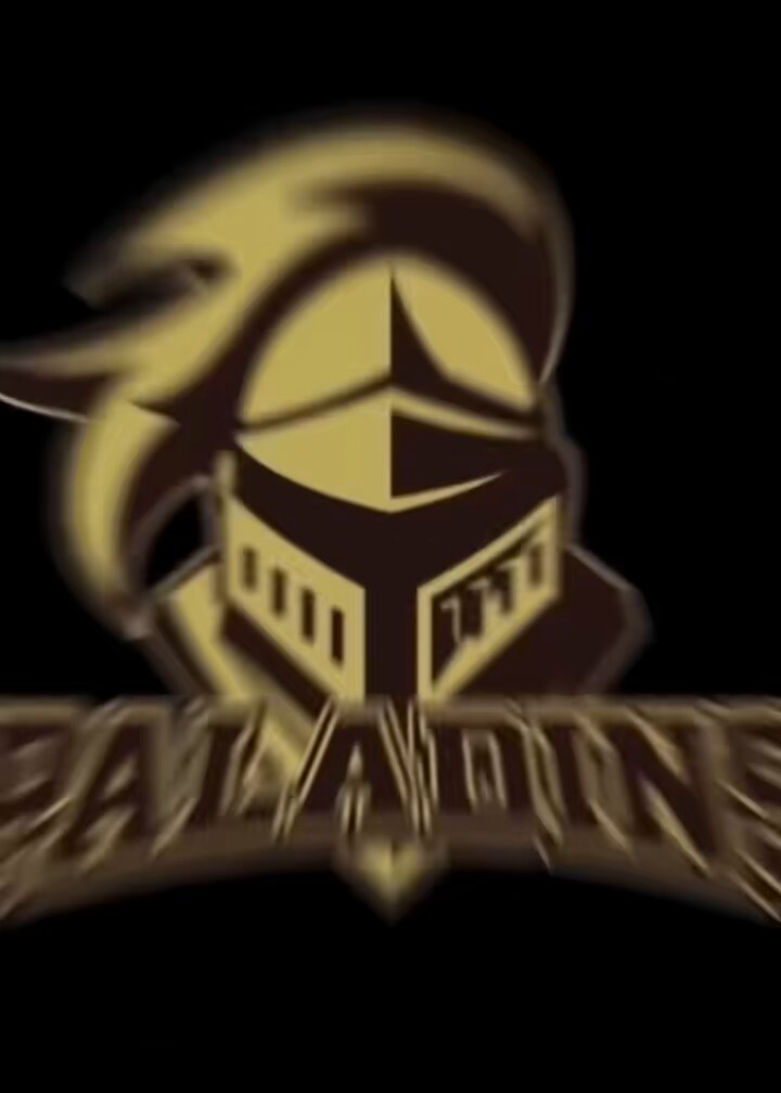 大阪公立大学アメリカンフットボール部 PALADINS (@omu_paladins