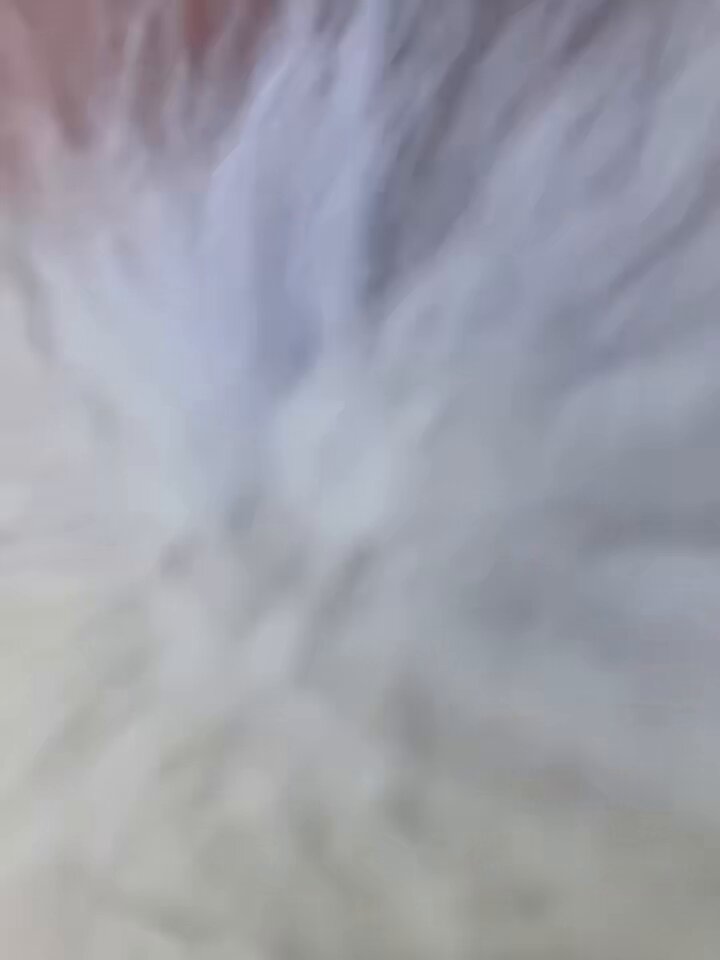 Video oleh @yanhuazhanfang