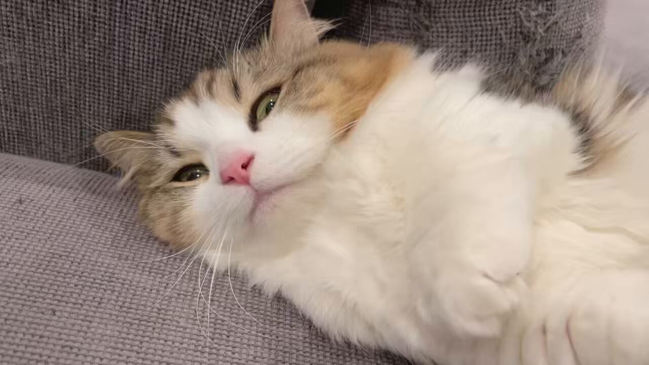 ★うらら★ bTm__XjX_200x200.jpg