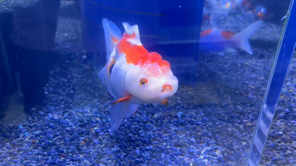 ゆーばるちゃん♡金額変更しました♡ ゆーばるちゃん♡金額変更しました♡