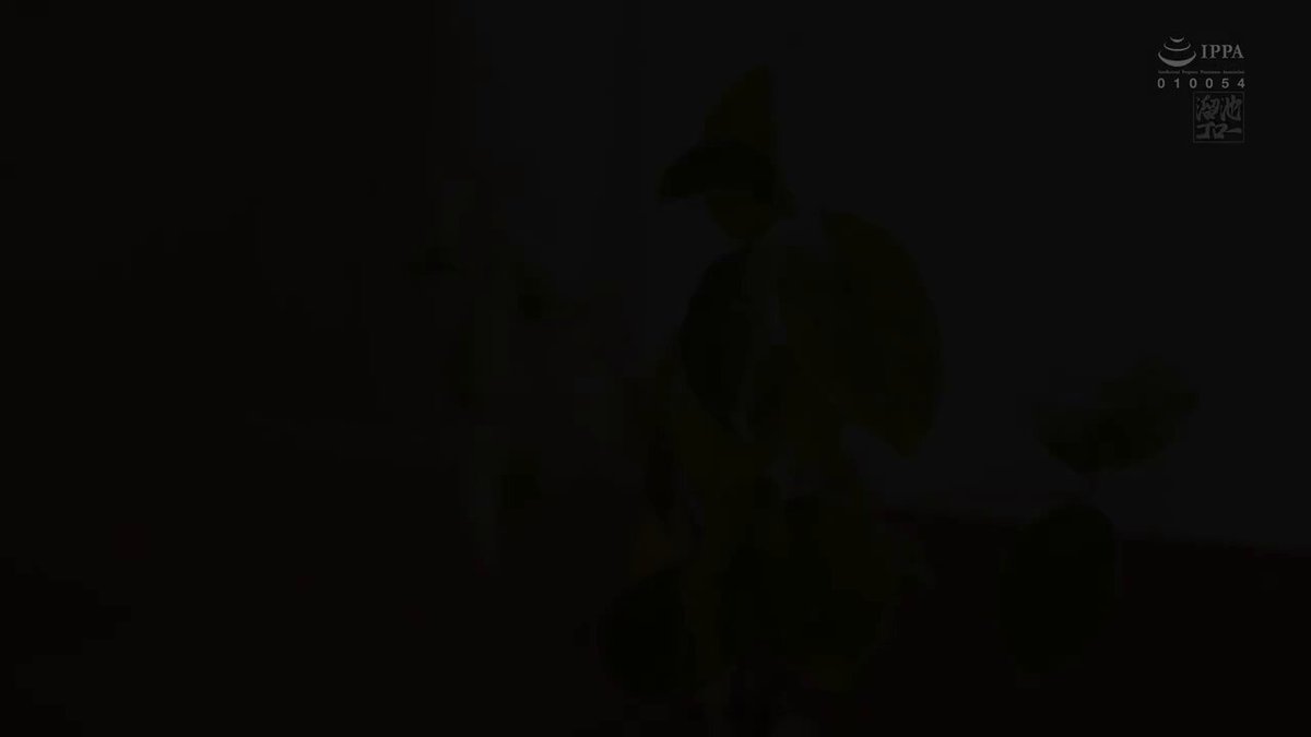 Twitter Image