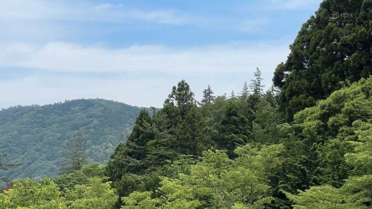 Twitter Image