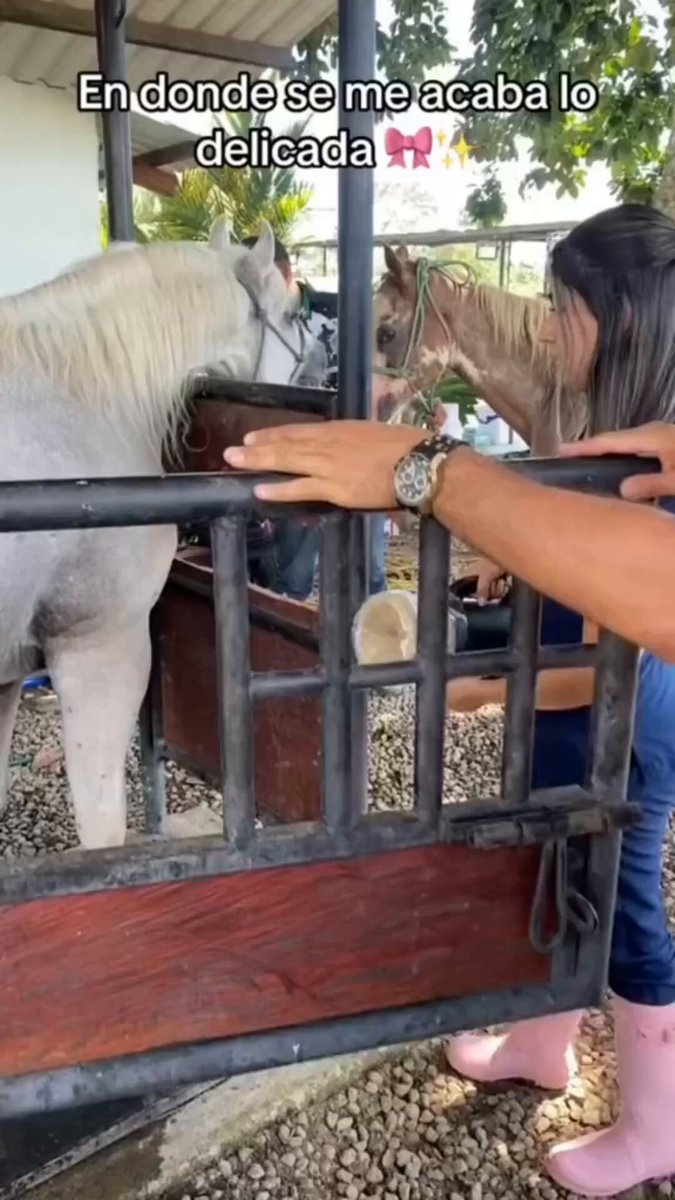 @EmiliPetites video Tweet