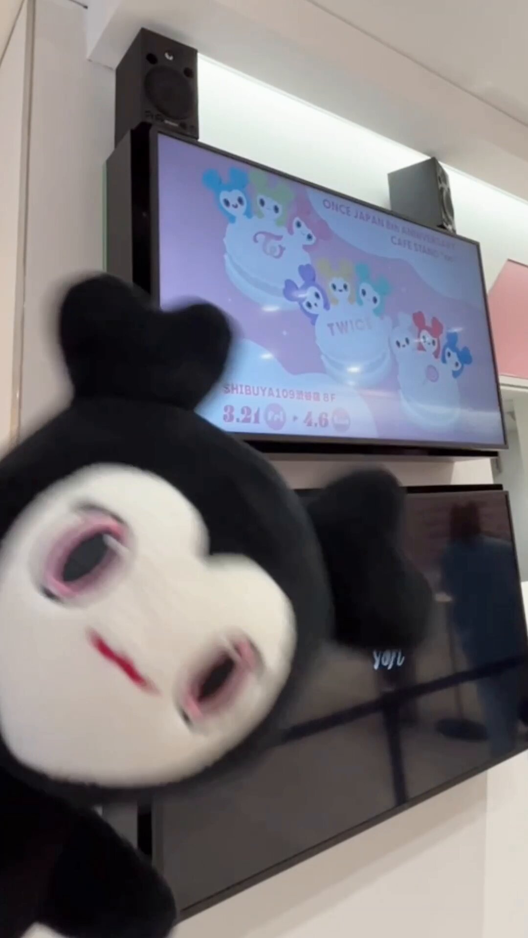TWICE JAPAN OFFICIAL on X: 