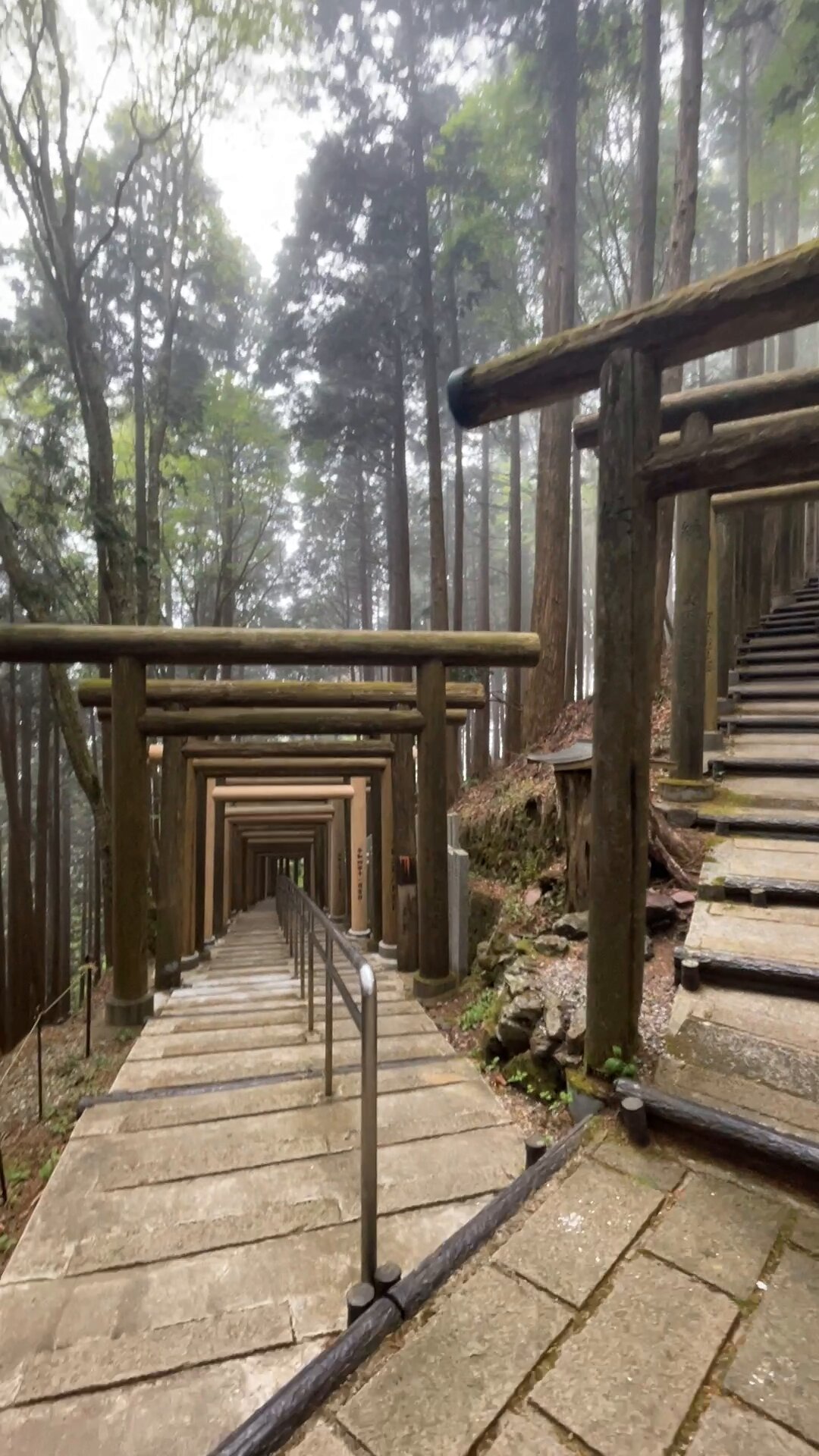 盲者の記憶 : 自画像およびその他の廃墟(ジャック・デリダ 著