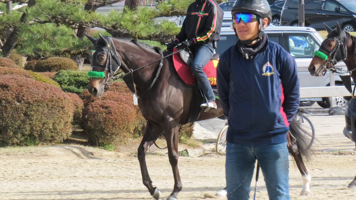 日刊ゲンダイ 競馬 on X: 日刊ゲンダイ 競馬 on X: