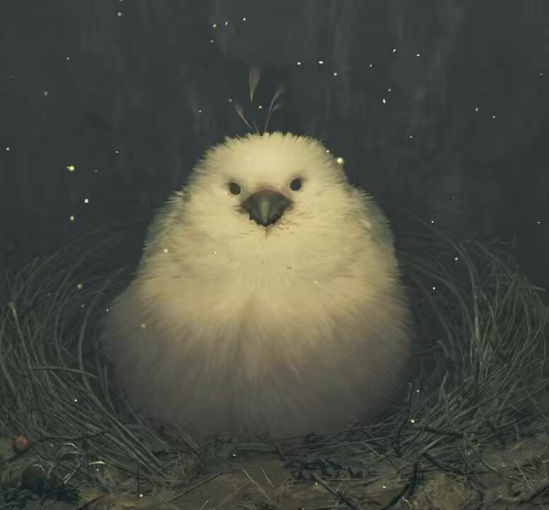 Twitter Image