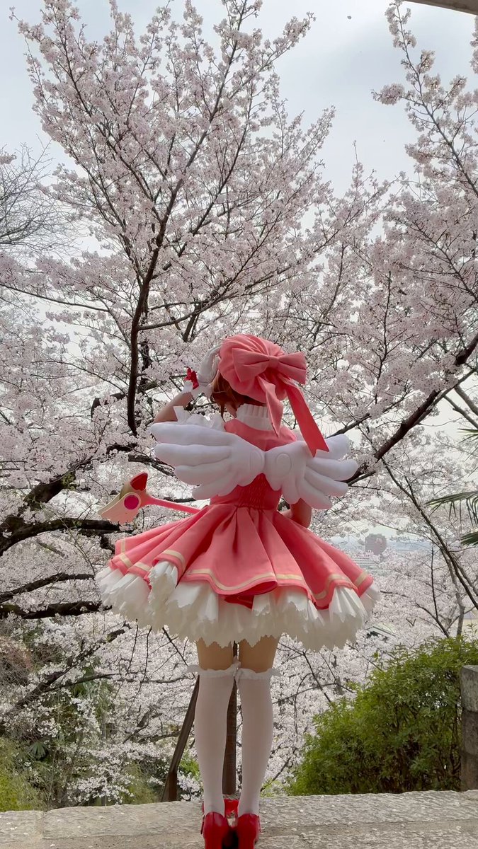 Twitter Image