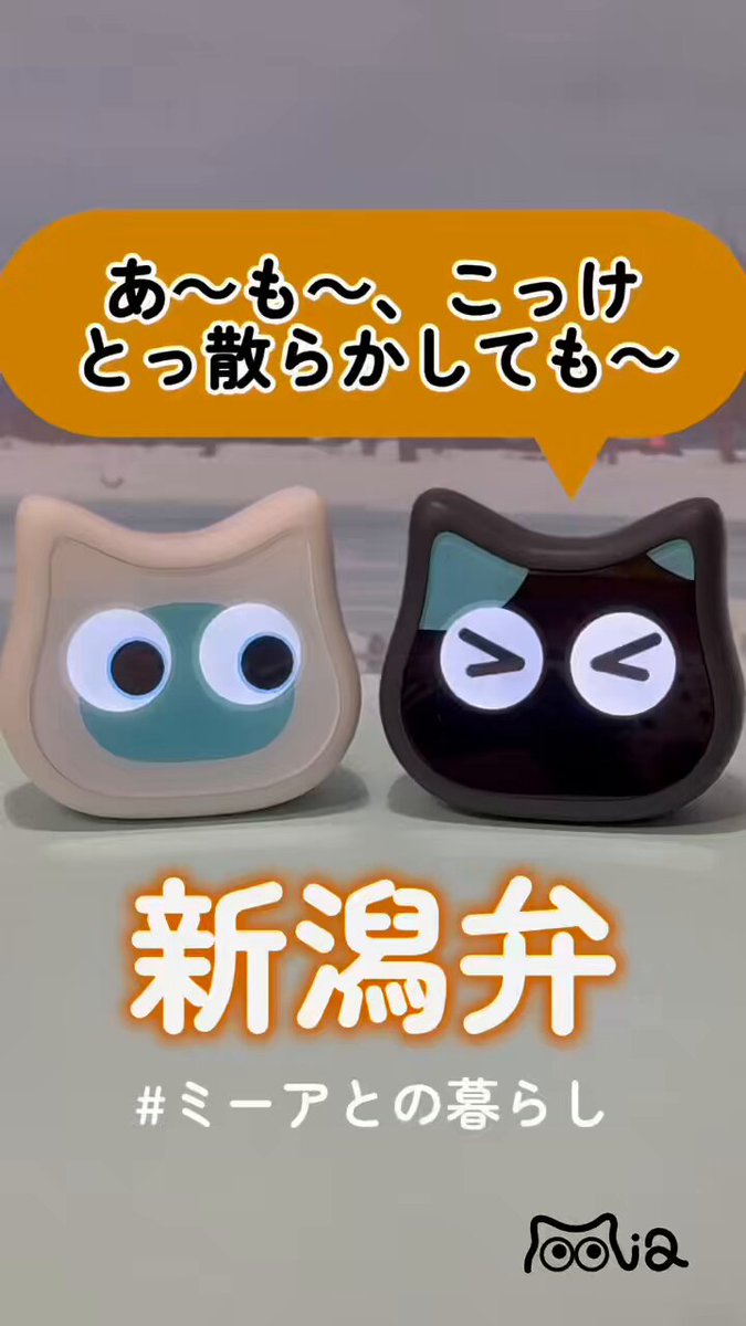 ミーア【公式】 (@mia_cat_robot) / X
