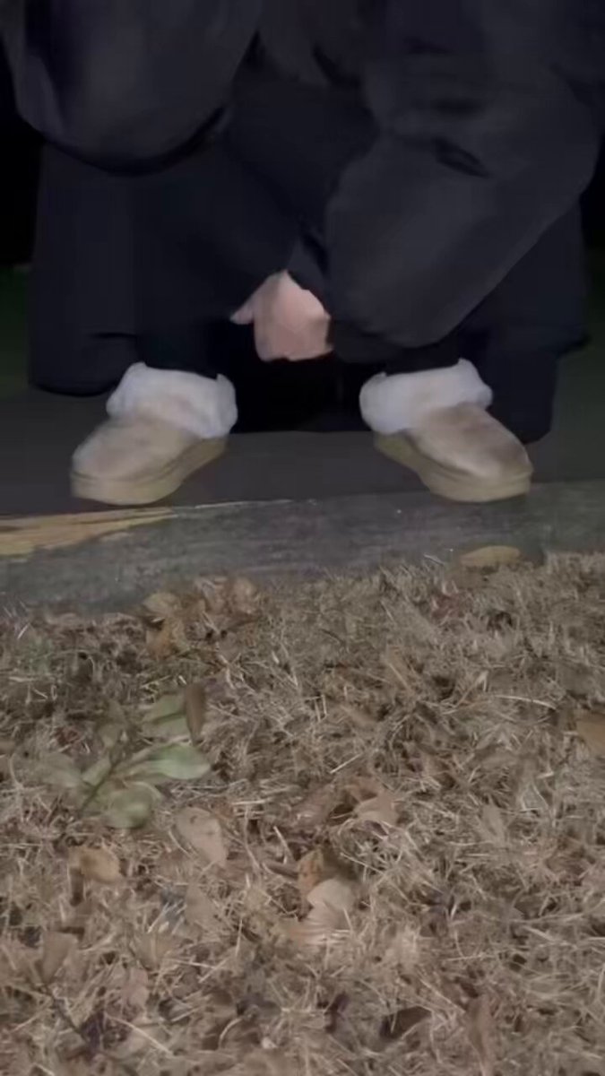 Video by @karasu13717