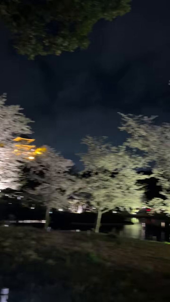 徳島県】蜂須賀桜が美しい春の徳島中央公園を紹介！ | Akio Miki