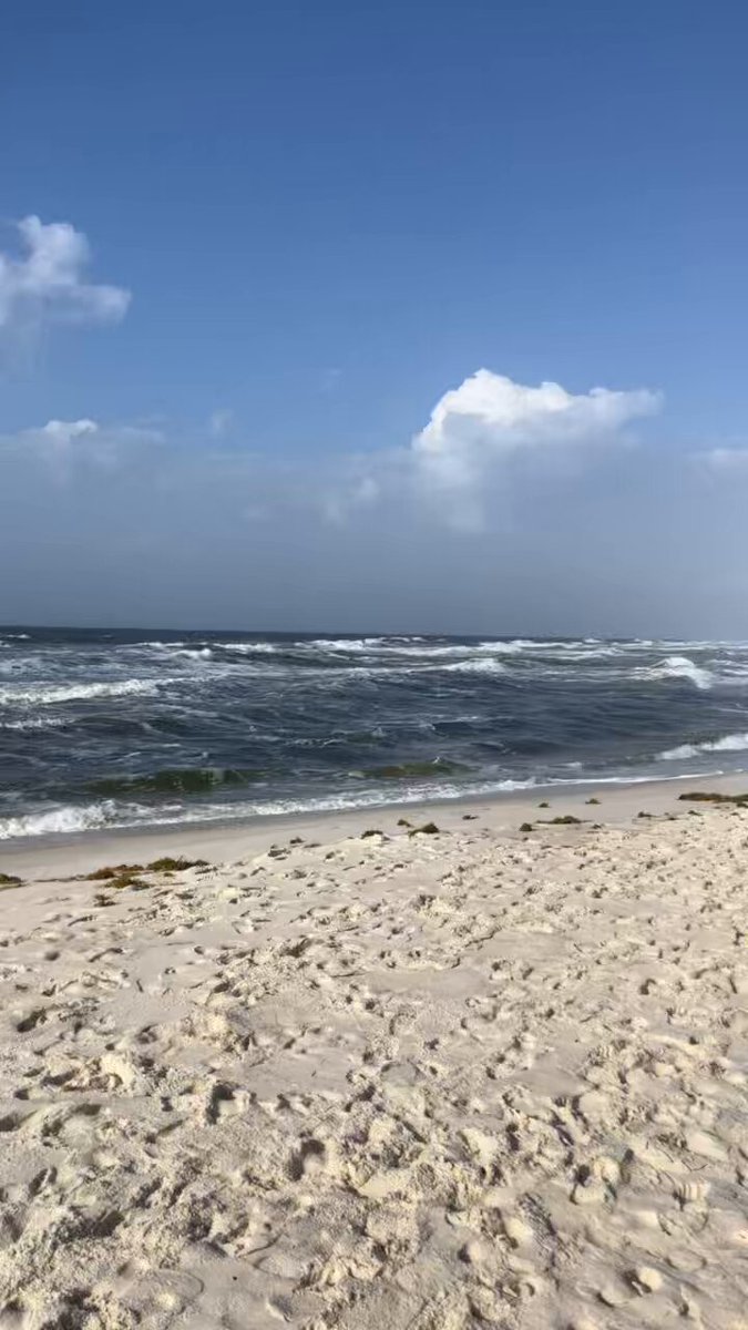 @cityorangebeachs video Tweet