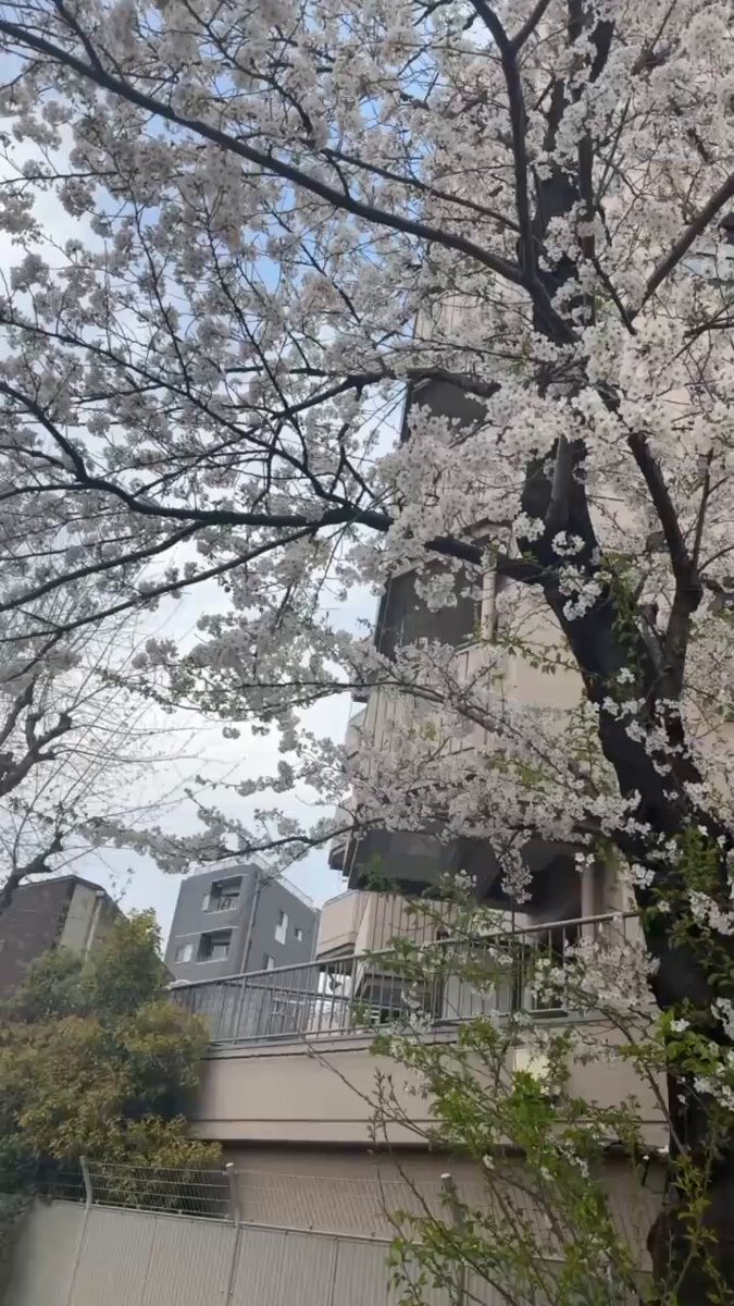 えりな =͟͟͞͞(๑•̀ㅁ•́ฅ✧ (@erina1069) / Posts / X