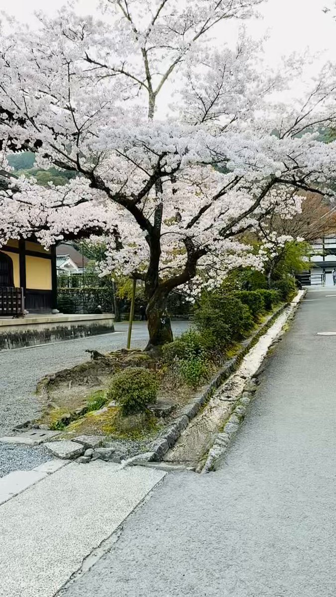 公式】大本山 南禅寺 (@nanzenji_kyoto) / X