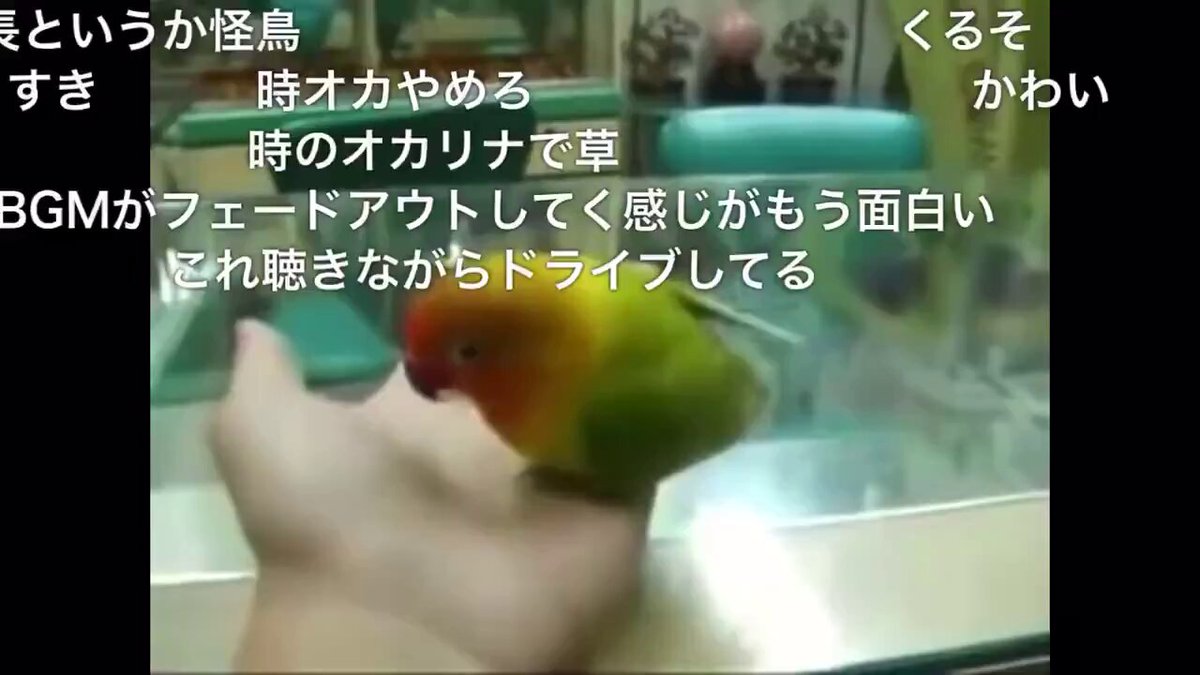 Twitter Image