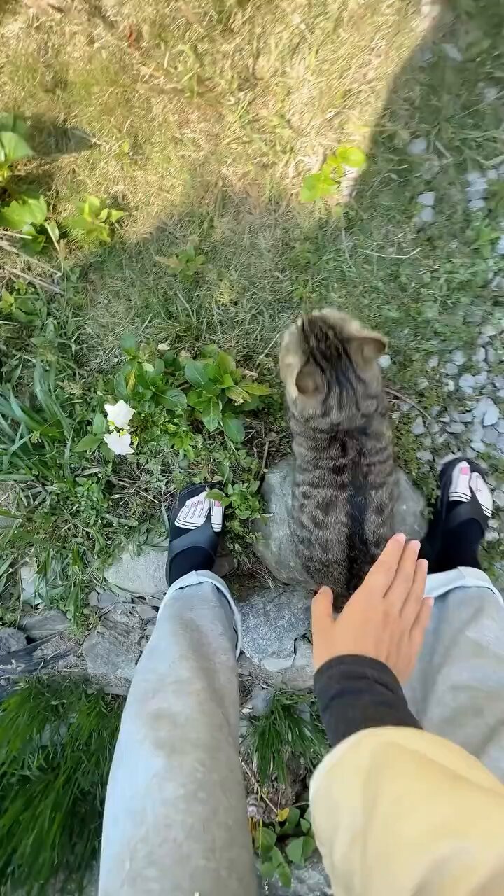 あうろり盗撮 