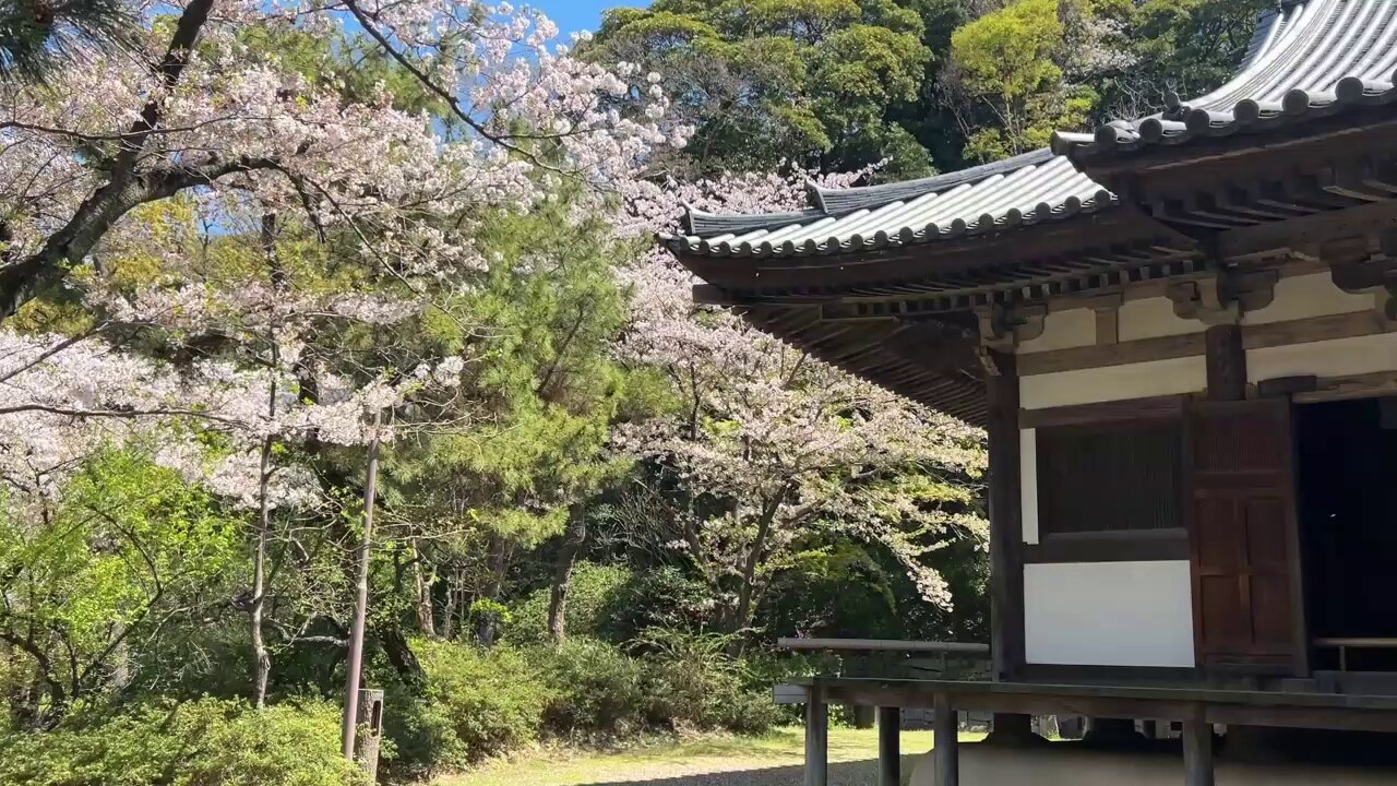 三溪園 (@HSankeien) / X