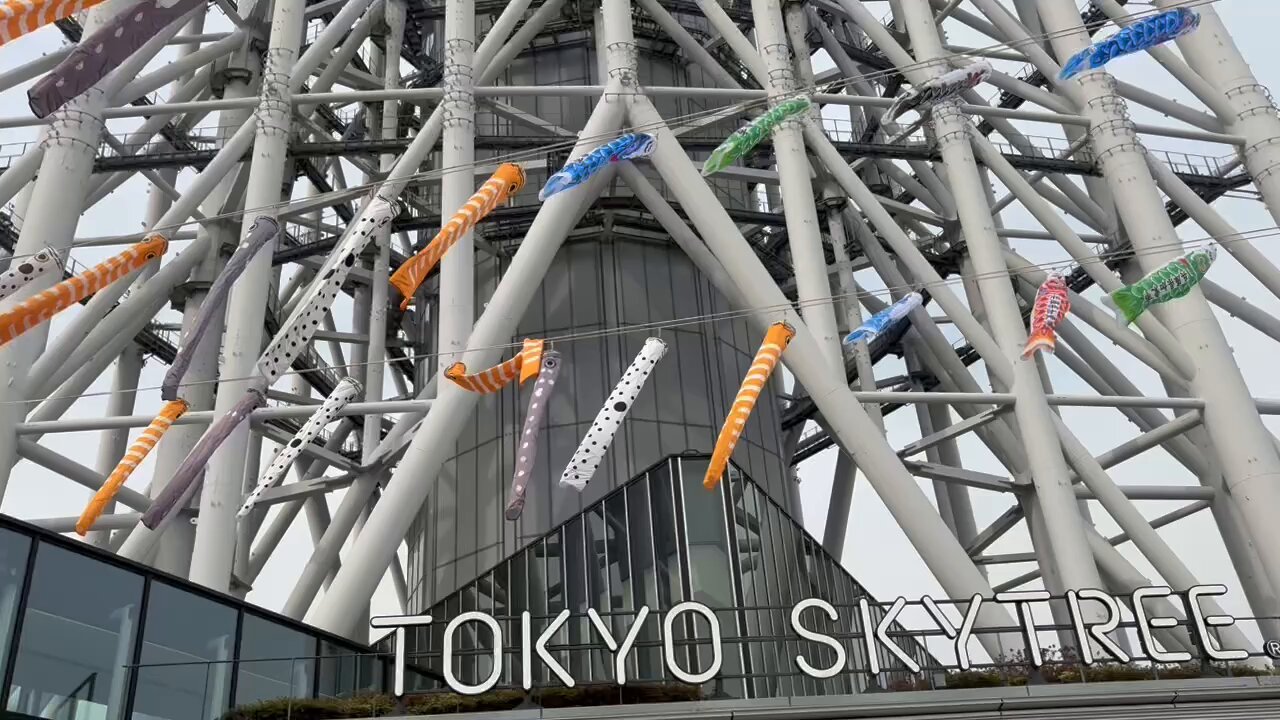 すみだ水族館【公式】 on X: 