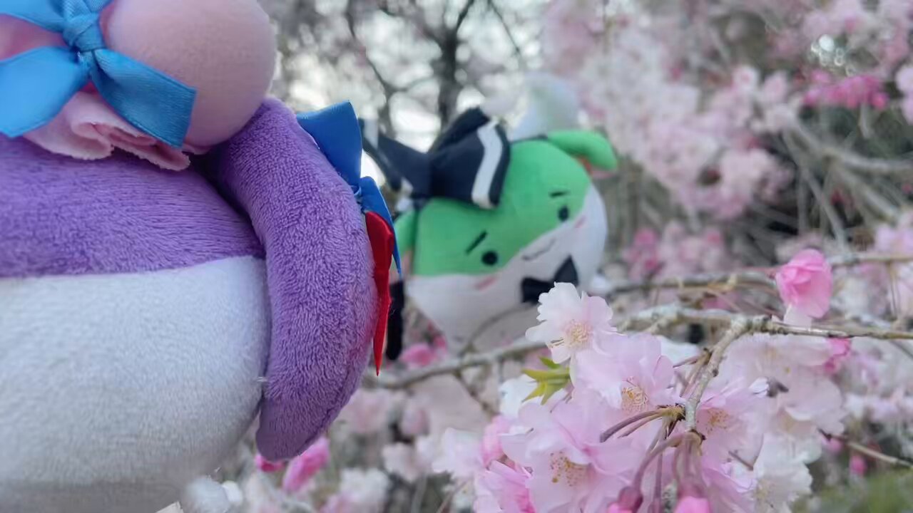 三日月無休 #チキチキ神社 (@mikazuki_mukyuu) / X