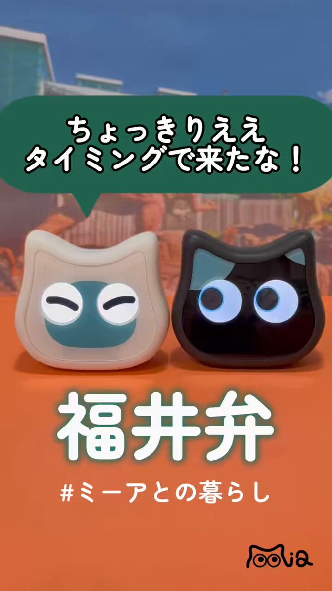 ミーア【公式】 (@mia_cat_robot) / X ミーア【公式】 (@mia_cat_robot) / X