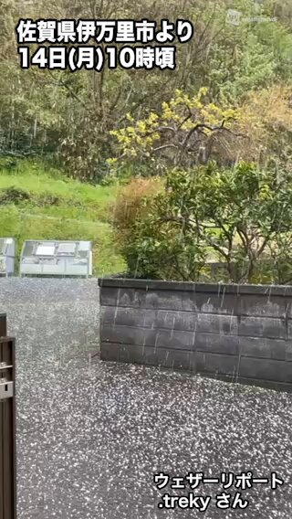 希少　気象　天然の雹　ひょう　千葉・茨城産　落ちたてホヤホヤ厳選採集 希少 気象 天然の雹 ひょう 千葉・茨城産 落ちたてホヤホヤ厳選
