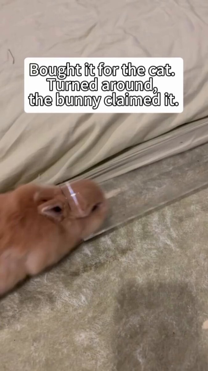 Twitter Image