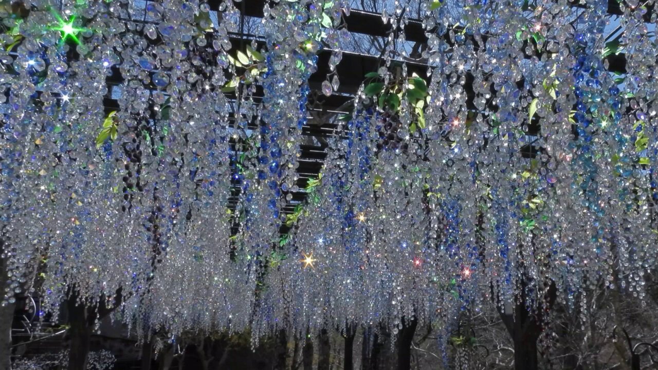 Highlights by 箱根ガラスの森美術館🐚10時開館