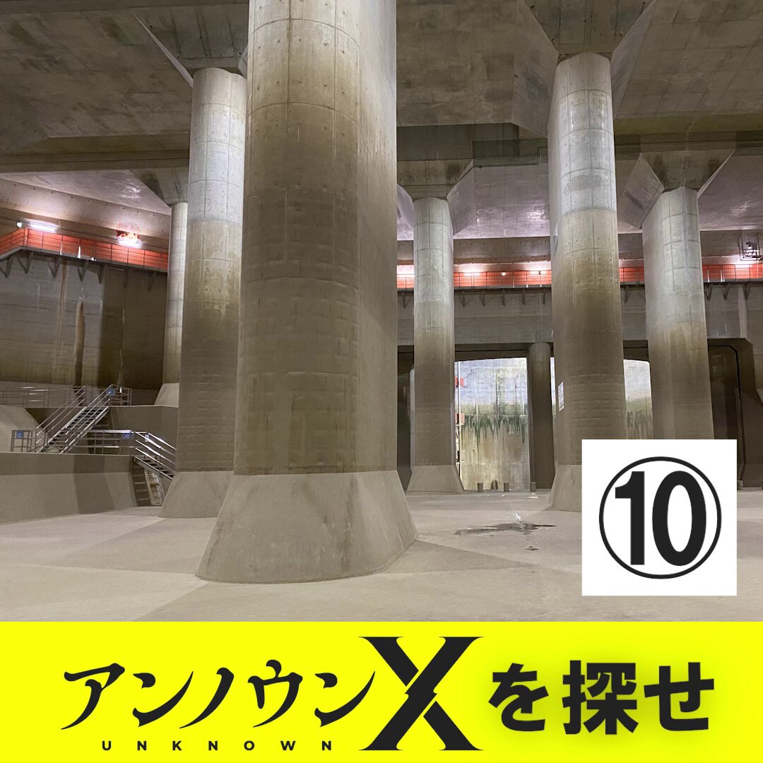アンノウンX⛩️東方ダンマクカグラ（Steam・Switch）発売中