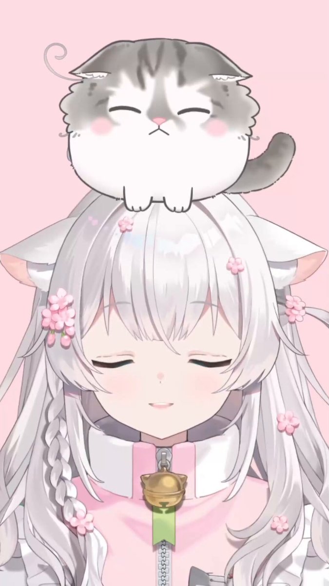 消費税無し Highlights X / (@mo_okrm) 餅猫ころま🍡·̩͙ by フェイスパウダー