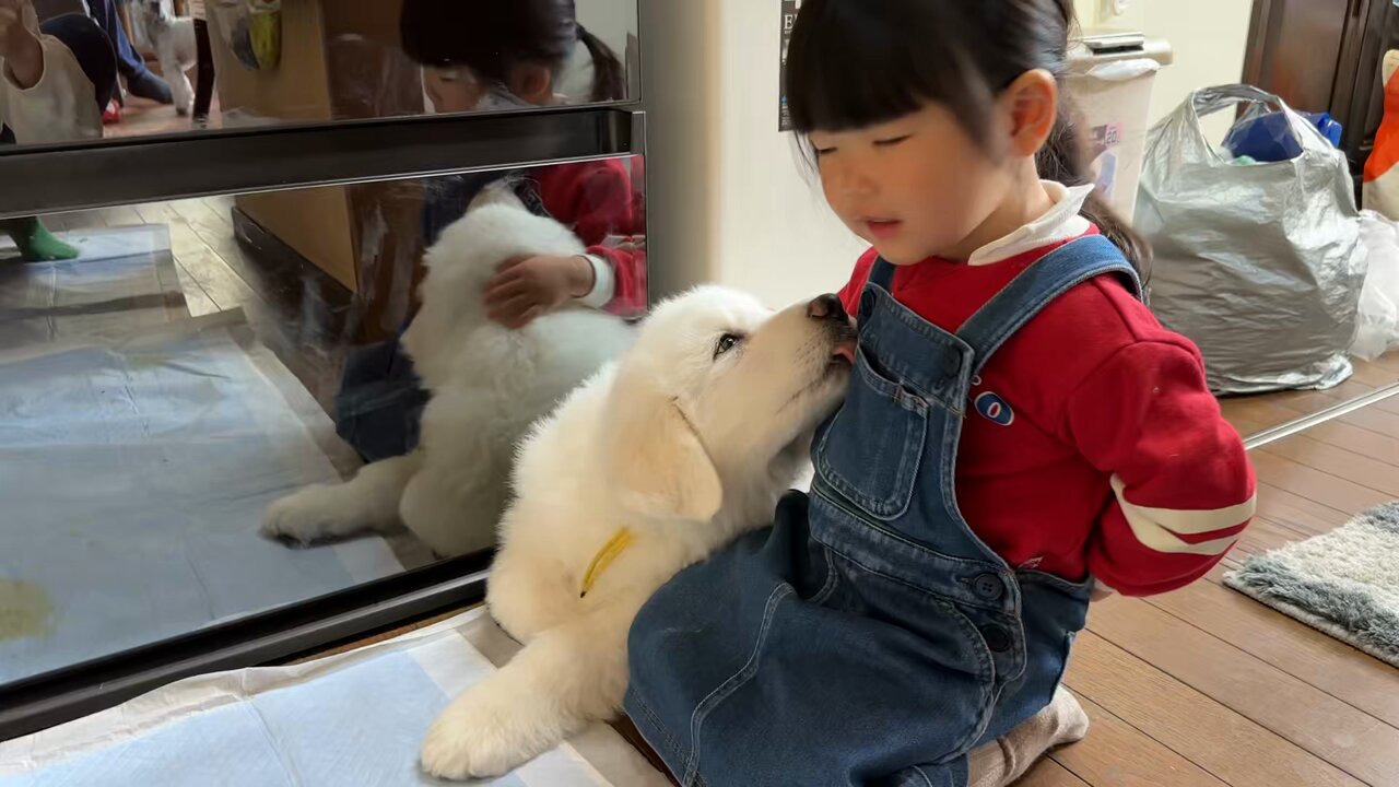山奥暮らしのシュシュ | 𝕔𝕙𝕠𝕦𝕔𝕙𝕠𝕦 (@chouchou_the_g) / X 山奥暮らしのシュシュ | 𝕔𝕙𝕠𝕦𝕔𝕙𝕠𝕦 (@chouchou_the_g) / X