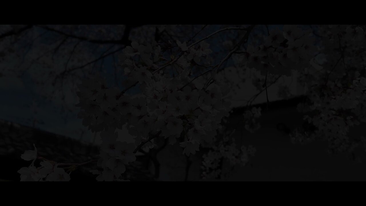 えるくろ🦊 (@Lq6a2) / X えるくろ🦊 (@Lq6a2) / X