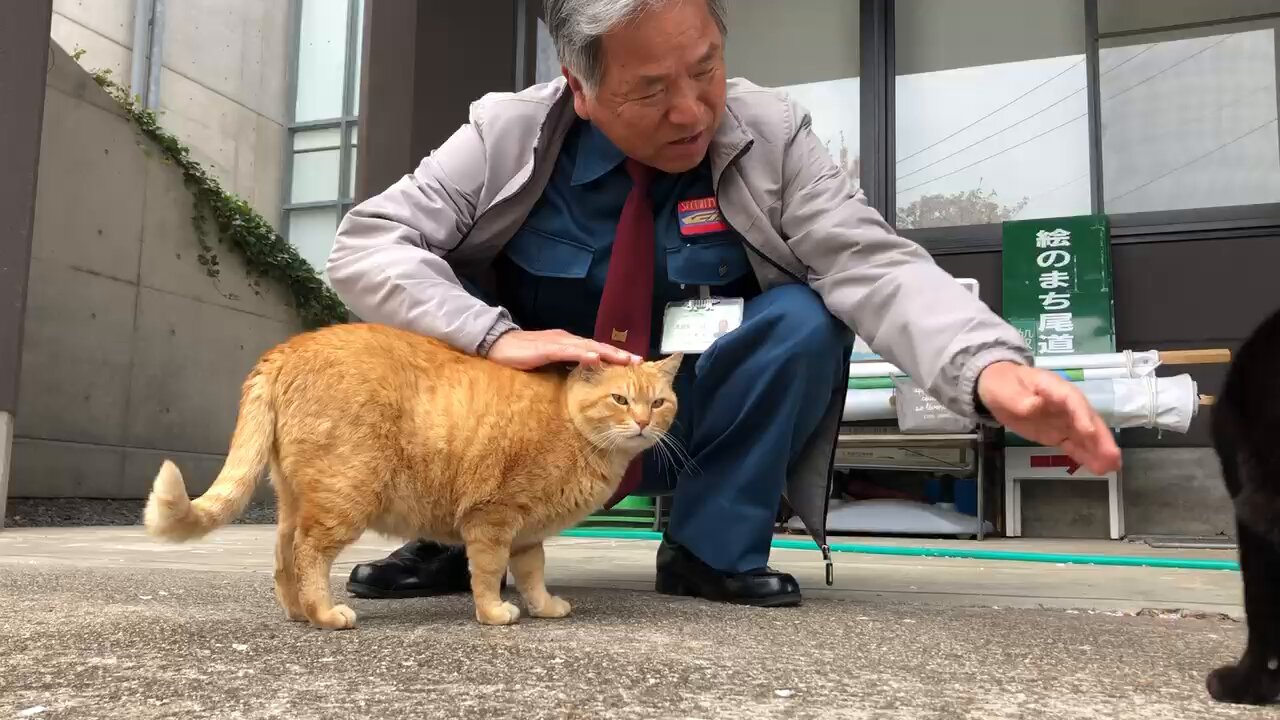 尾道市立美術館 on X: 
