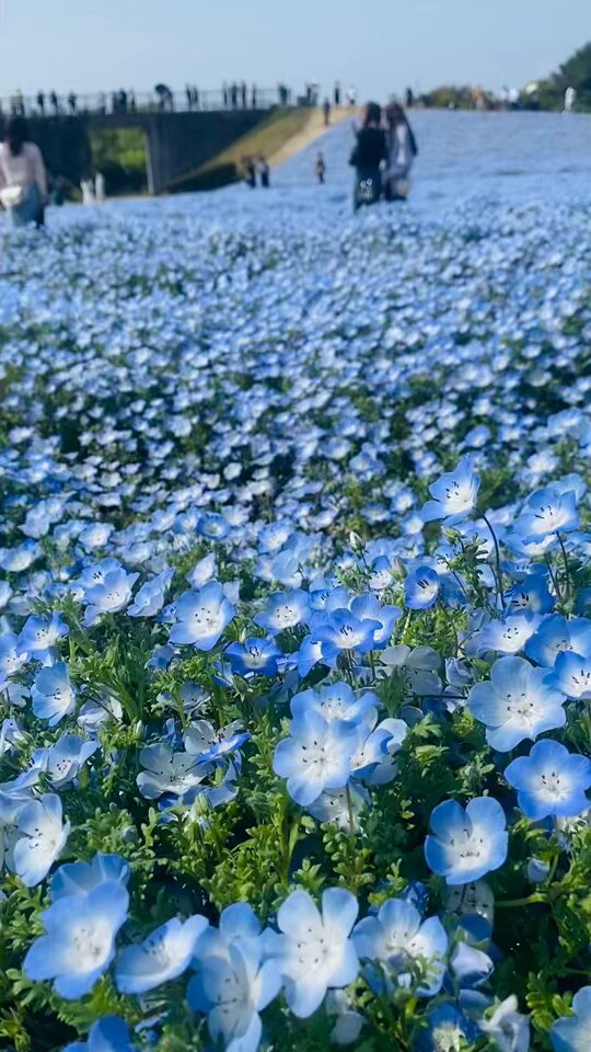 Twitter Image