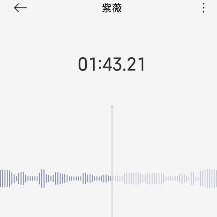 媒体预览