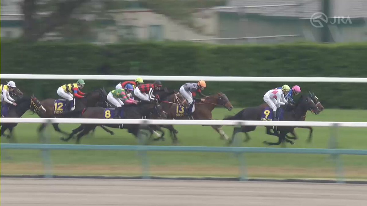 World Horse Racing on X: 