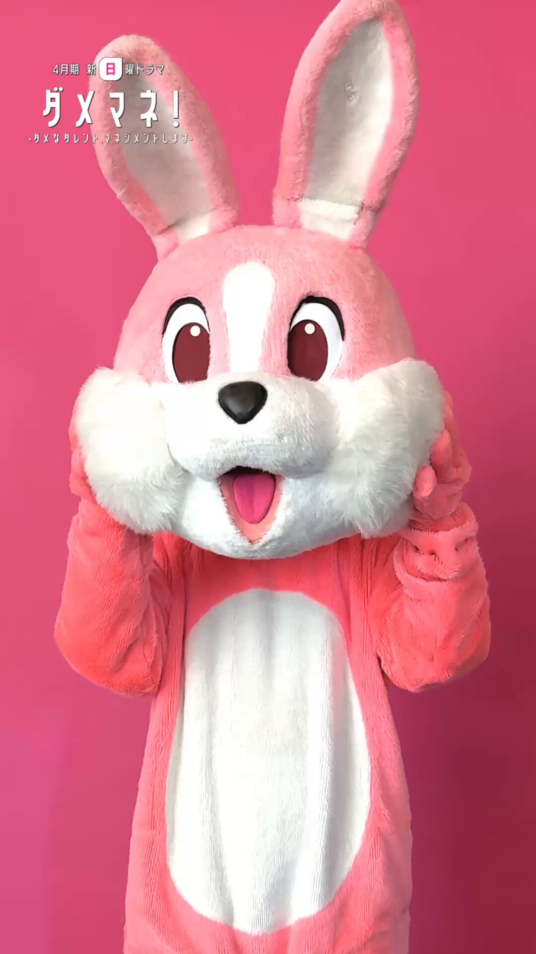 ユコ⁺ 🍠🥞🦥🐙🐺🦊🦎 on X: 