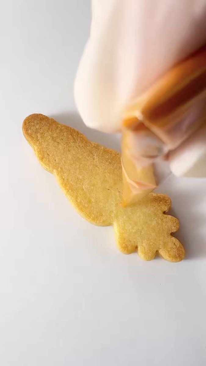 アイシングクッキー作家Fiocco (@Fiocco_cookies) / X